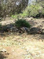 IMG_20180318_162404
