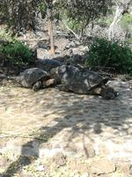 IMG_20180318_162506