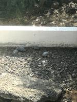 IMG_20180318_162532