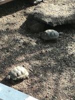 IMG_20180318_162556
