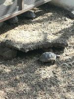 IMG_20180318_162601