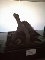 IMG_20180318_163451