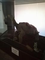 IMG_20180318_163615