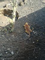IMG_20180318_165354
