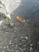 IMG_20180318_165522