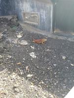 IMG_20180318_165604