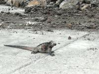 IMG_20180319_113720
