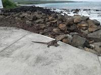 IMG_20180319_113834