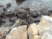 IMG_20180319_114248