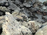 IMG_20180319_114346