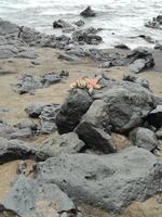 IMG_20180319_123307