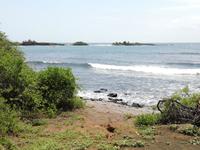 IMG_20180319_143722