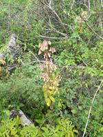 IMG_20180320_094008
