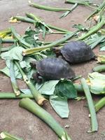 IMG_20180320_094931