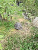 IMG_20180320_095305