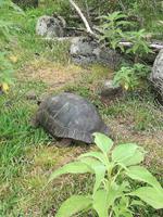 IMG_20180320_095344