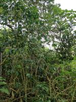 IMG_20180320_100611