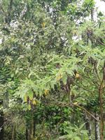 IMG_20180320_100947