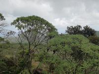 IMG_20180320_101416