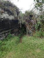 IMG_20180320_101635