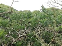 IMG_20180320_102601