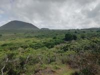 IMG_20180320_103349