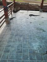 IMG_20180320_112110