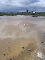 IMG_20180320_153245