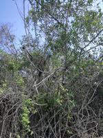 IMG_20180320_162549