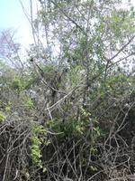 IMG_20180320_162551