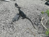 IMG_20180320_164229
