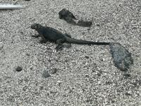 IMG_20180320_164355
