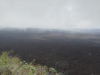 IMG_20180321_104536