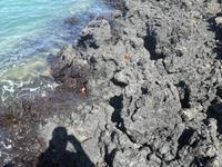 IMG_20180321_153943