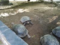 IMG_20180322_093021