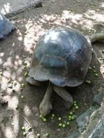 IMG_20180322_093120