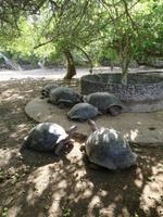 IMG_20180322_093127