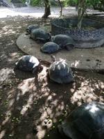 IMG_20180322_093141
