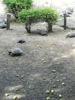 IMG_20180322_093301