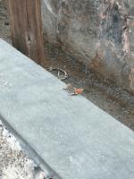 IMG_20180322_093607