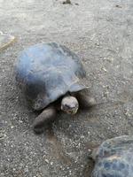 IMG_20180322_093838