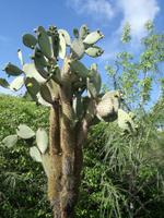 IMG_20180322_100635