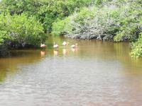 IMG_20180322_101719