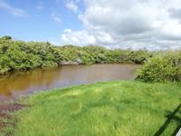IMG_20180322_101818
