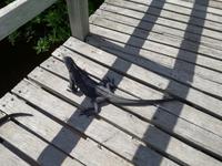 IMG_20180322_103036