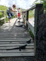 IMG_20180322_103114