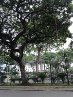 IMG_20180323_143857