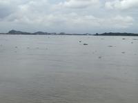 IMG_20180323_150633
