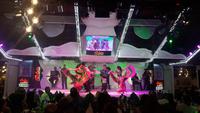 Iguazú (Brasilien) - Abend-Show