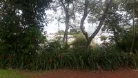 Iguazú-Nationalpark (Brasilien)